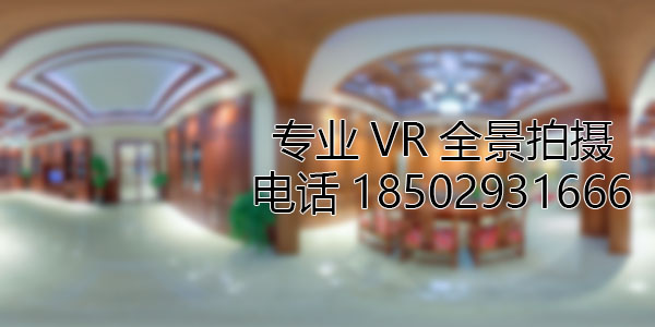 陈巴尔虎房地产样板间VR全景拍摄